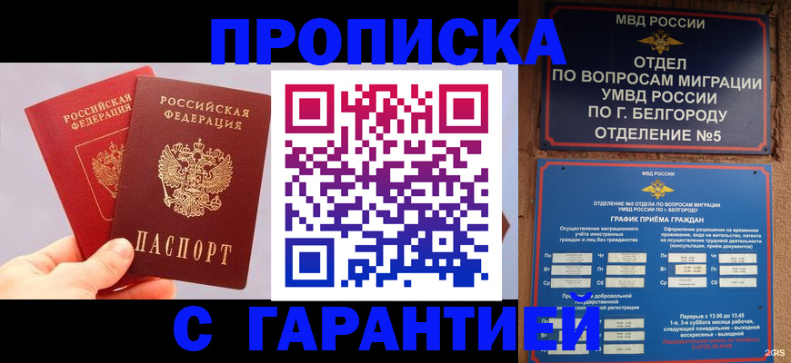 прописка 2025 в Армавире